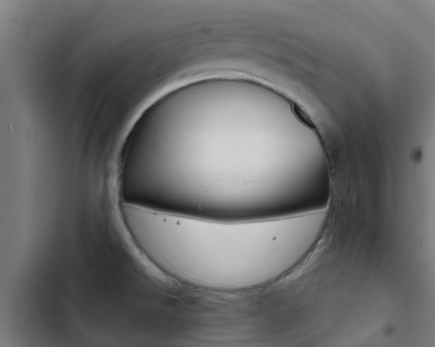 X0000103421526200809121000