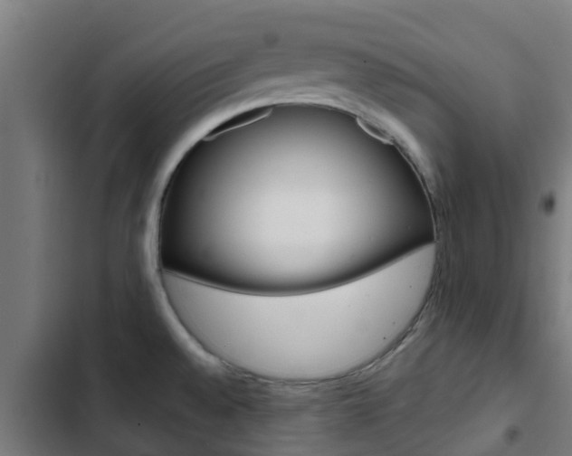 X0000103421528200809121000
