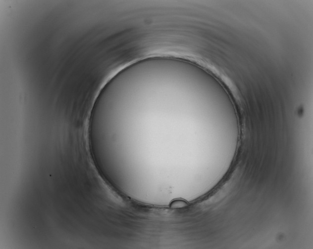X0000103421529200809121000