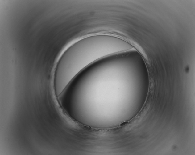 X0000103421530200809121000