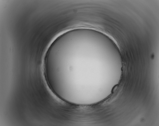 X0000103421531200809121000