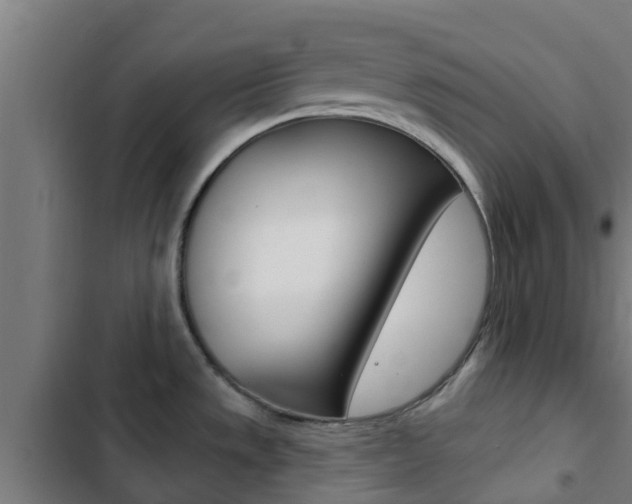X0000103421533200809121000