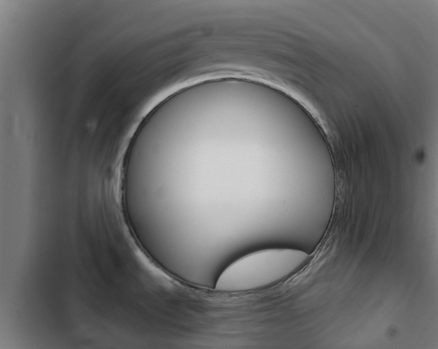 X0000103421535200809121001