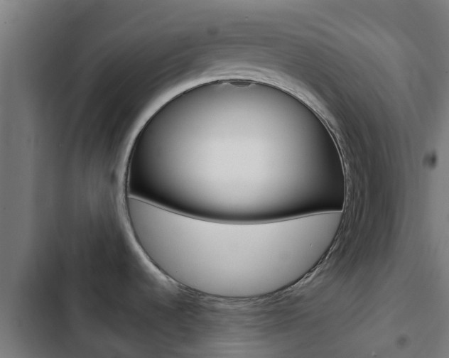 X0000103421536200809121001