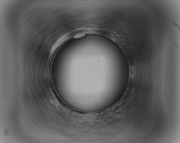 X0000103420004200809121317