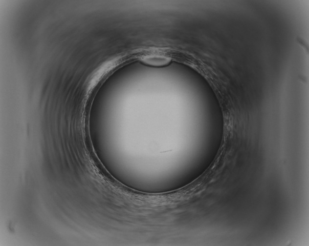 X0000103420006200809121317