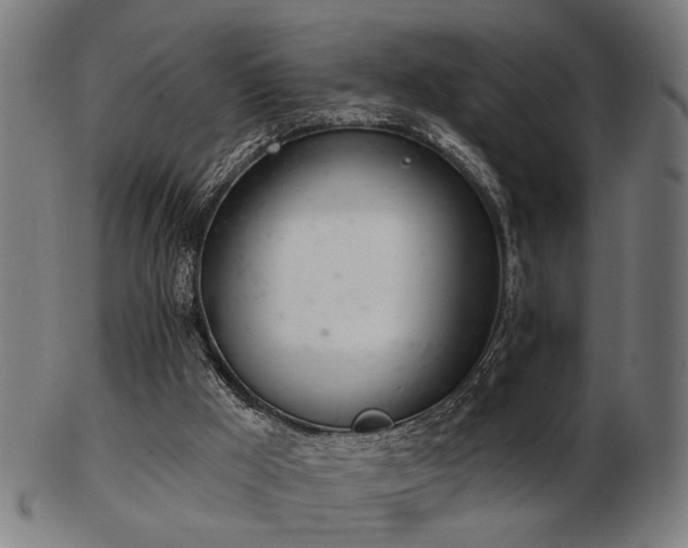X0000103420009200809121317