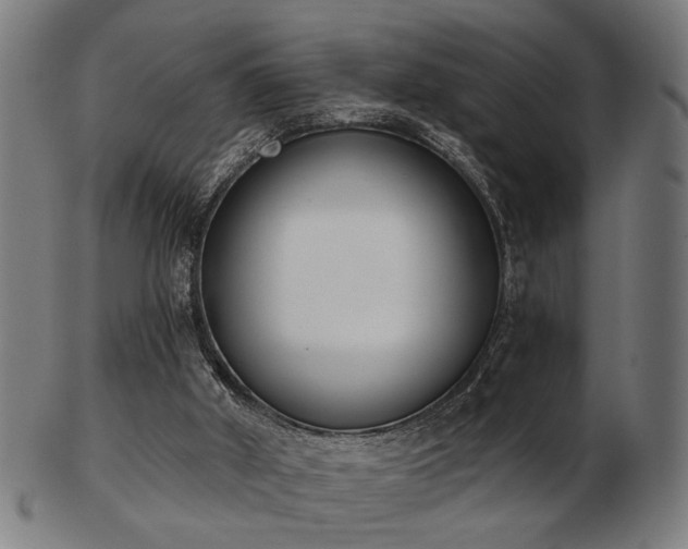 X0000103420010200809121317