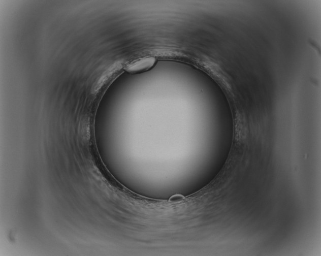 X0000103420015200809121317