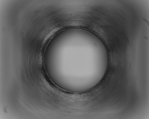 X0000103420016200809121317