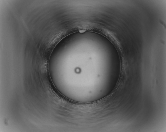 X0000103420017200809121317