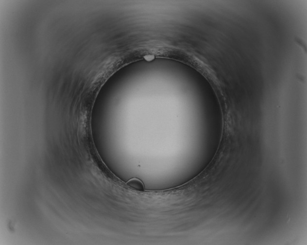 X0000103420018200809121317