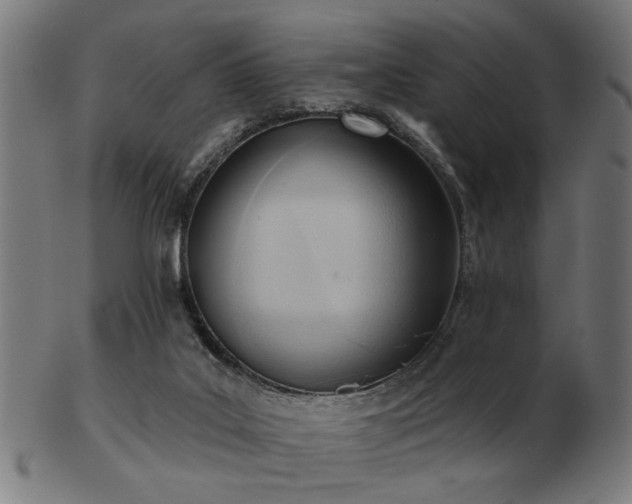 X0000103420019200809121317