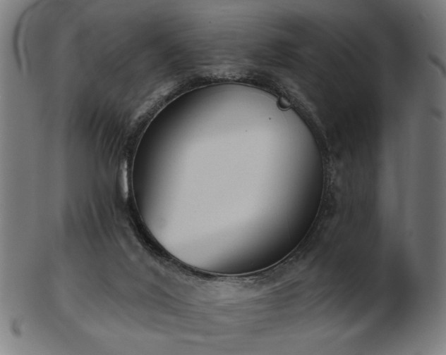 X0000103420020200809121317