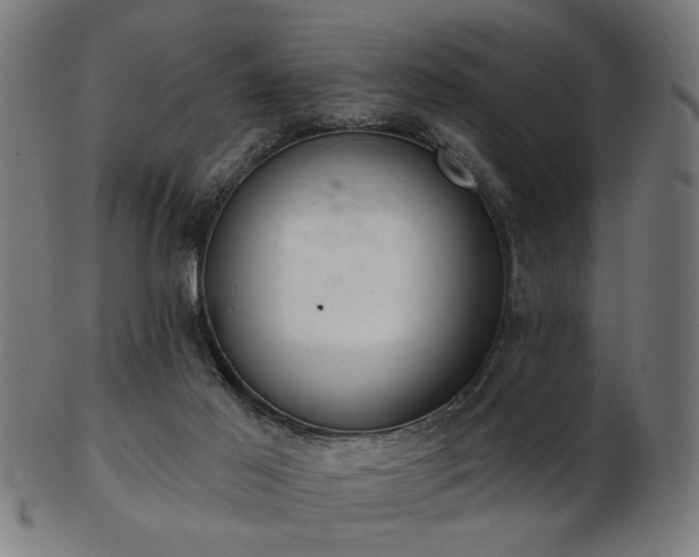 X0000103420021200809121317