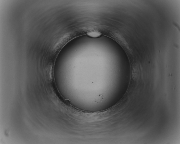 X0000103420023200809121317