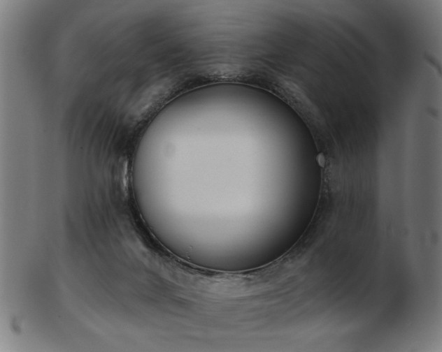 X0000103420024200809121317