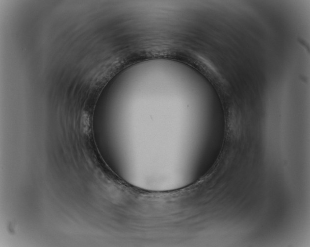 X0000103420025200809121317