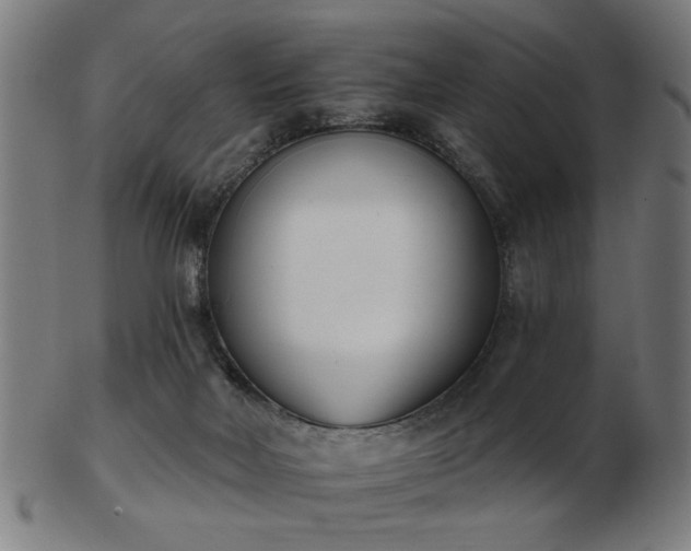 X0000103420026200809121317