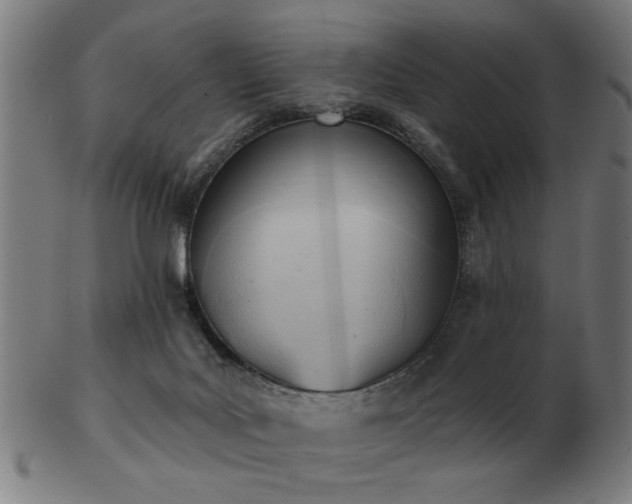 X0000103420027200809121317