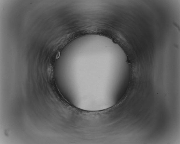 X0000103420029200809121317