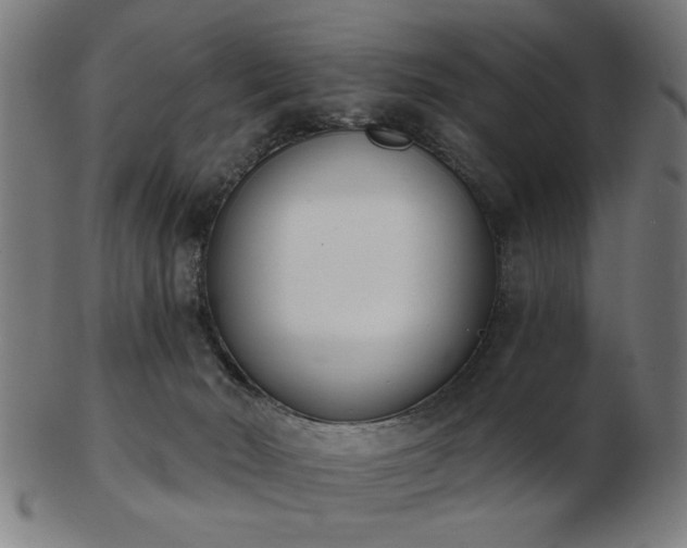 X0000103420030200809121317
