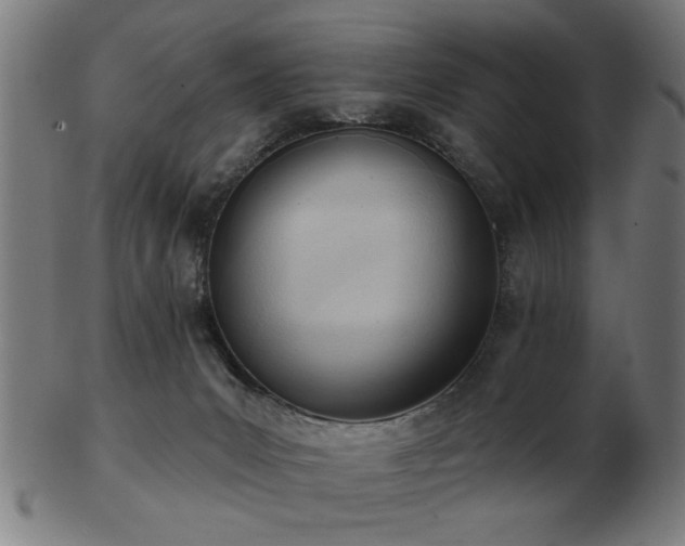 X0000103420031200809121317