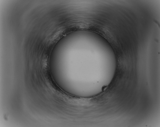 X0000103420032200809121317