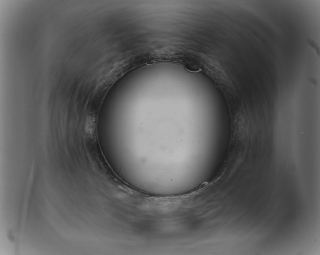 X0000103420033200809121317