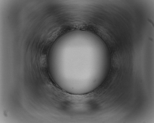 X0000103420034200809121317