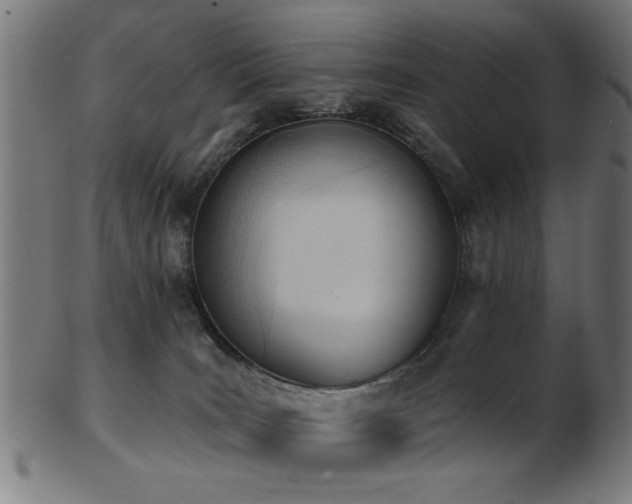 X0000103420035200809121317