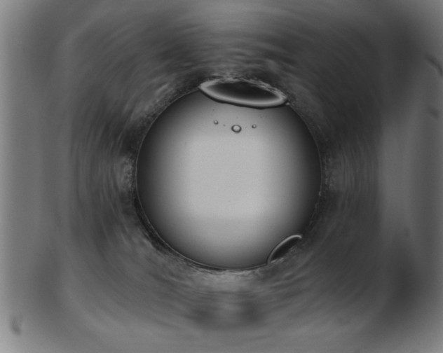 X0000103420036200809121317