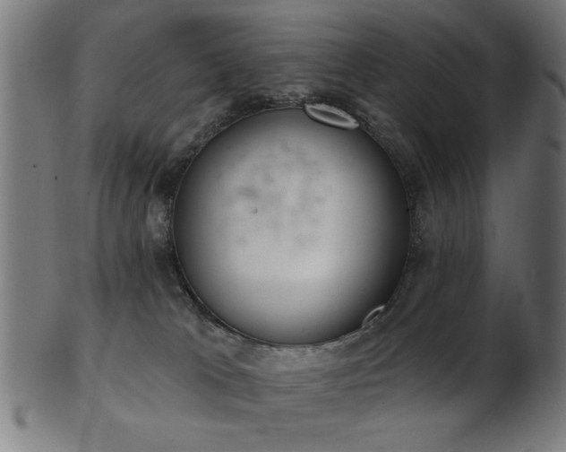 X0000103420037200809121317