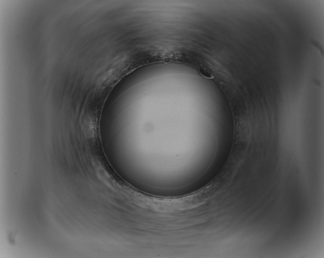 X0000103420039200809121317