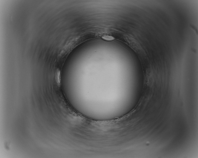 X0000103420041200809121317