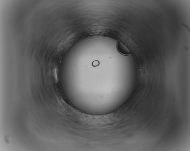 X0000103420042200809121317