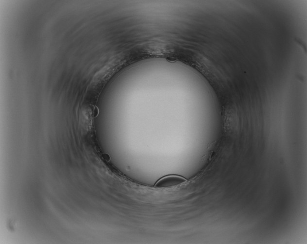 X0000103420043200809121317