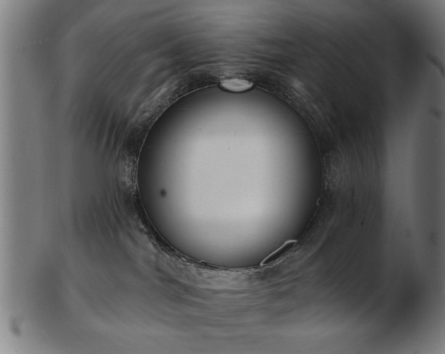 X0000103420044200809121317