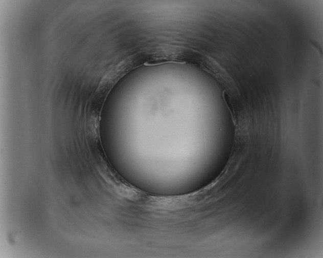 X0000103420045200809121317