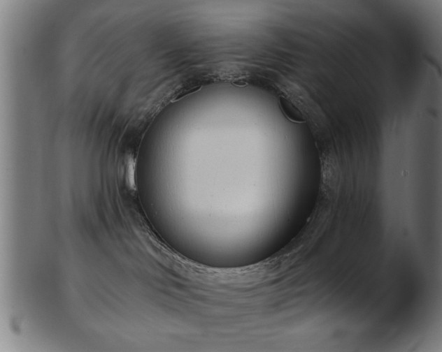 X0000103420046200809121317