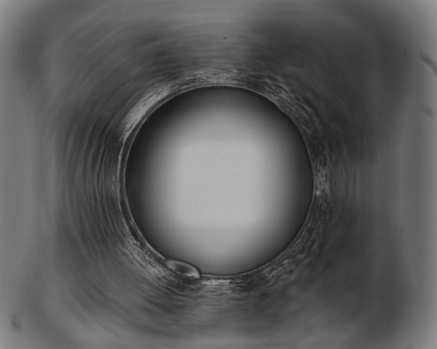X0000103420052200809121316