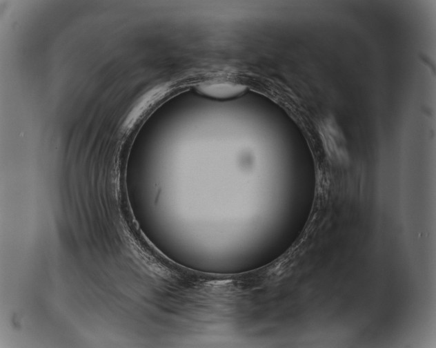 X0000103420054200809121316