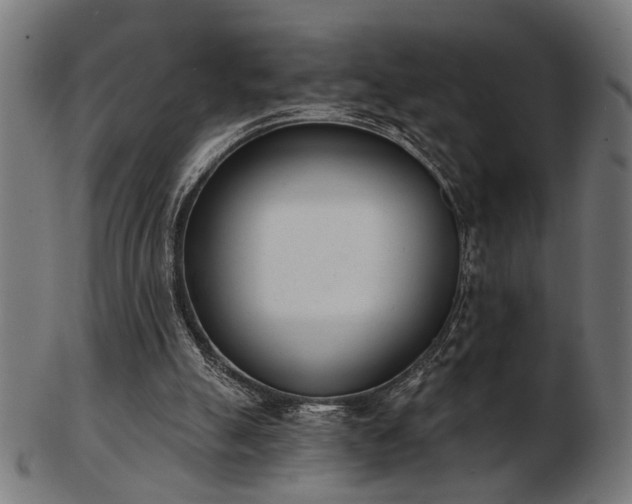 X0000103420055200809121316