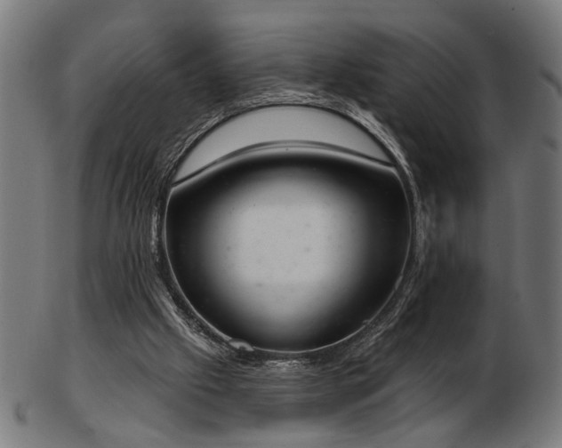 X0000103420057200809121316