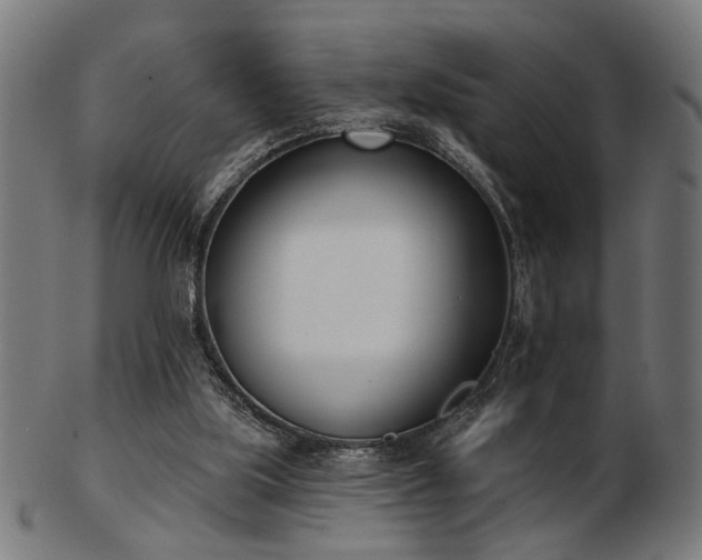 X0000103420059200809121316