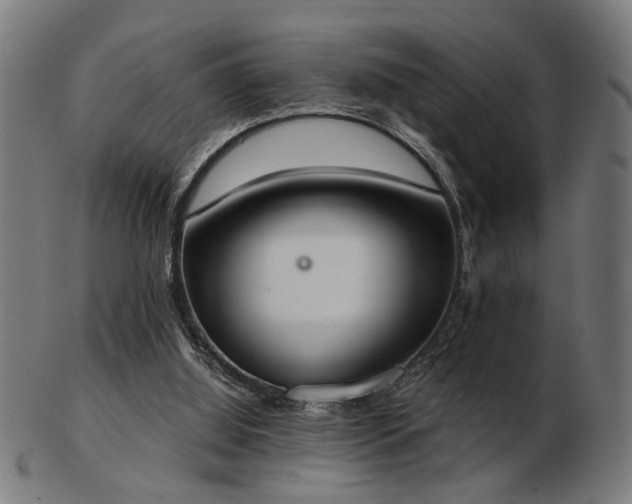 X0000103420060200809121316