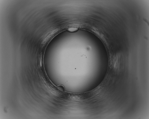 X0000103420062200809121316