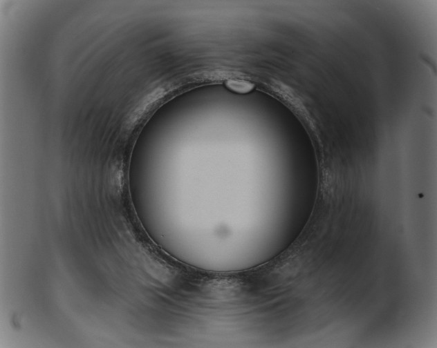 X0000103420063200809121316
