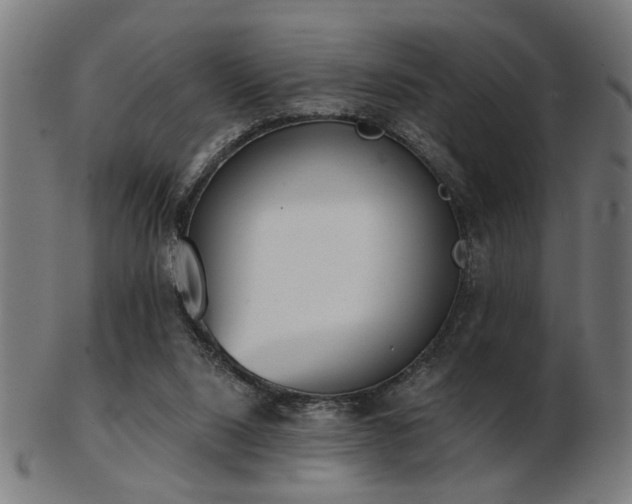 X0000103420064200809121316