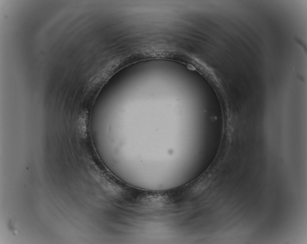 X0000103420065200809121316